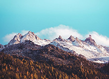 乒超联赛总决赛落幕 深圳大学队、山东魏桥队登顶